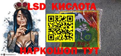 гидропоника Бердск