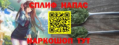 прущие грибы Белореченск