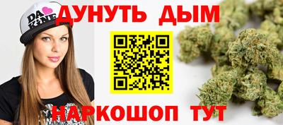 гидропоника Бердск